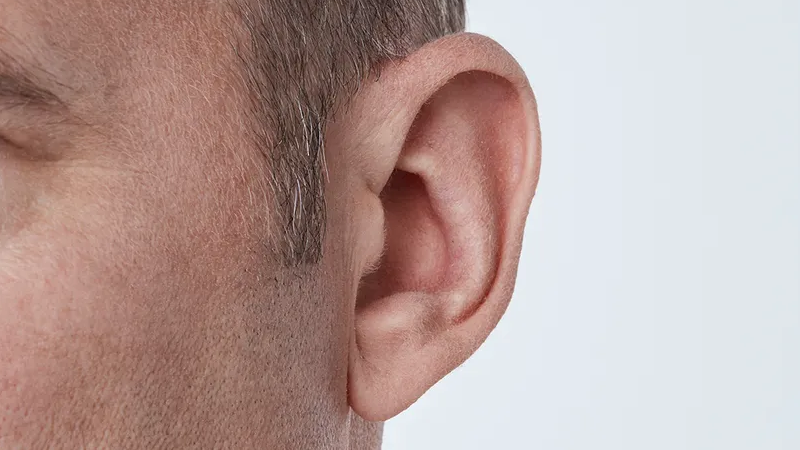 Oticon Opn&trade; Tamamen Kanal İ&ccedil;i (CIC)